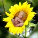 I Just LOVE This Bloomin' Baby by grammyn