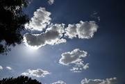 28th Jul 2022 - Sun Behind Cloud