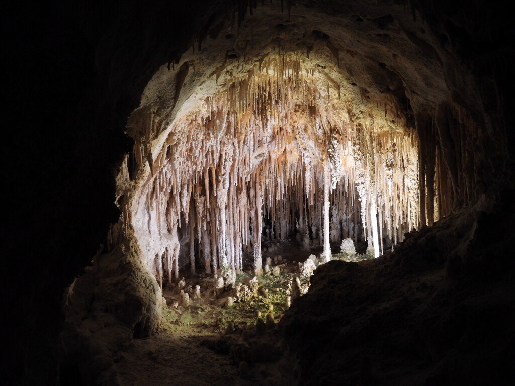 Carlsbad Caverns by janeandcharlie