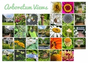 31st Jul 2022 - Arboretum Views
