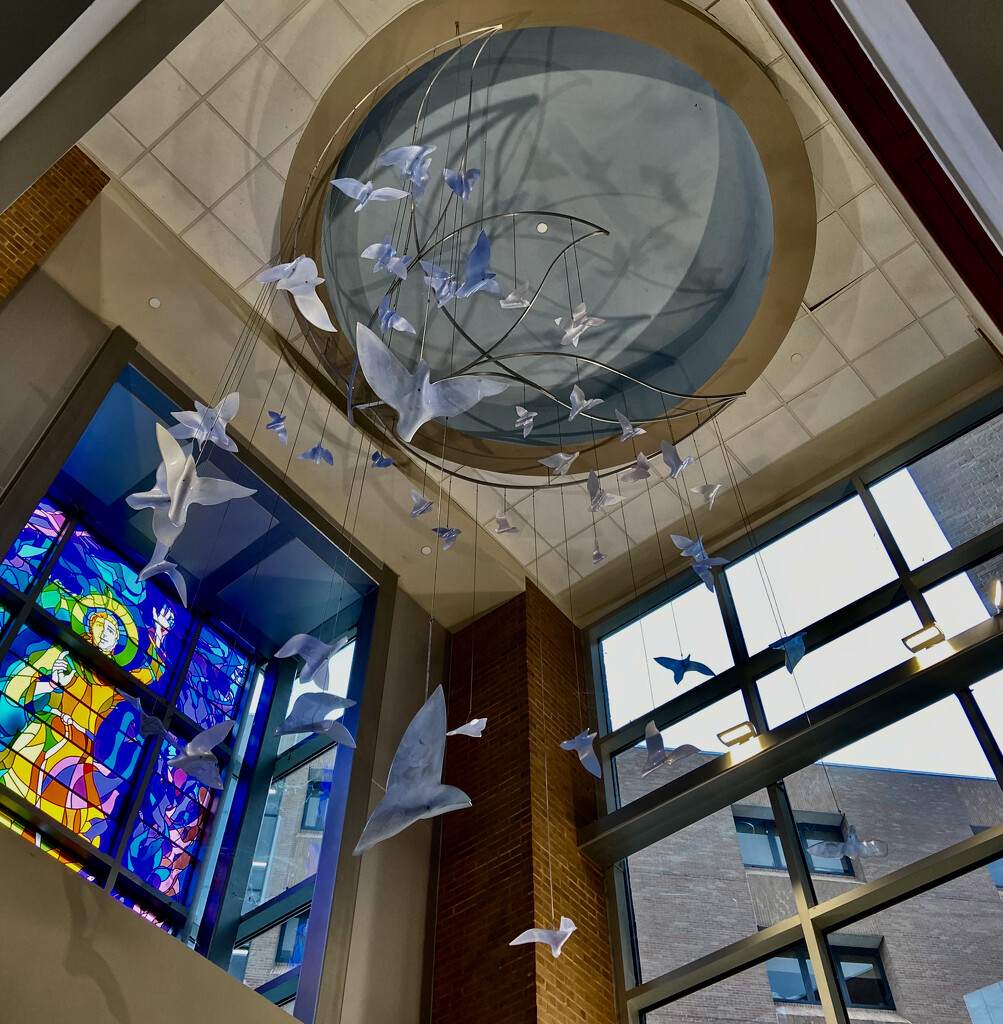 Entrance, Our Lady of the Lake Medical Center by eudora