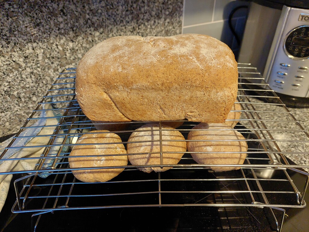 I made bread by hand. For the first time in ages. by samcat