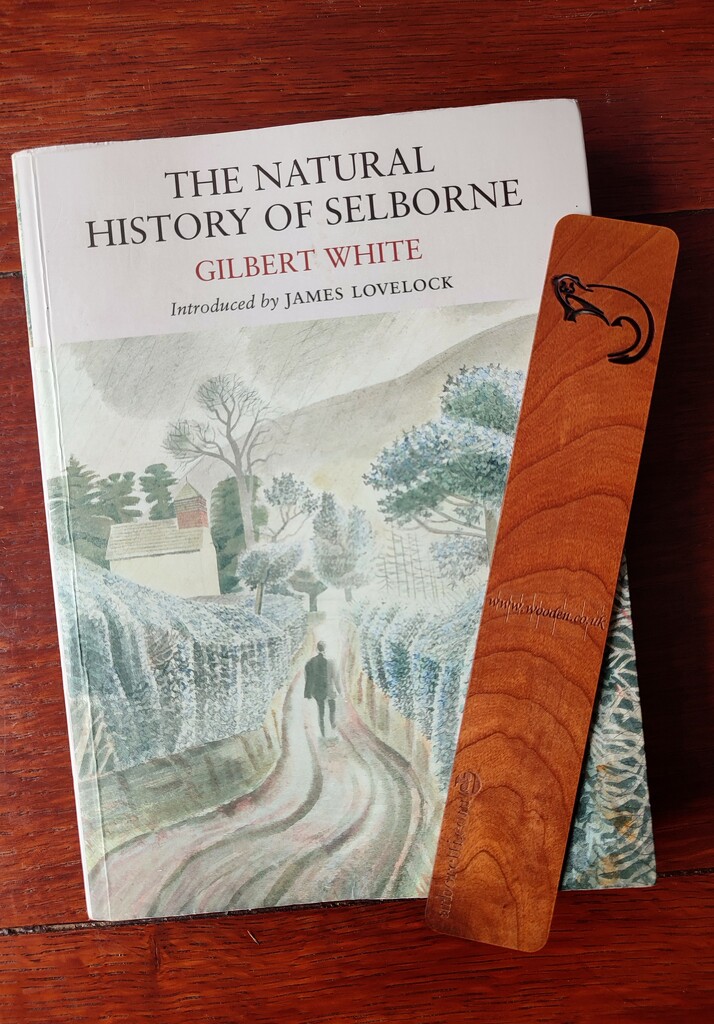 The Natural History of Selborne  by boxplayer