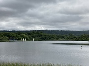 31st Jul 2022 - Morning Walk Around The Reservoir 