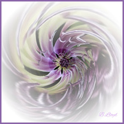 2nd Aug 2022 - Abstract 2 - Clematis