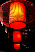 2nd Aug 2022 - Chinese lanterns