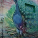 Peacock by eudora