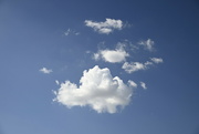 29th Jul 2022 - Fluffy Clouds