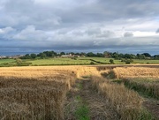 2nd Aug 2022 - Over the corn field to the church….