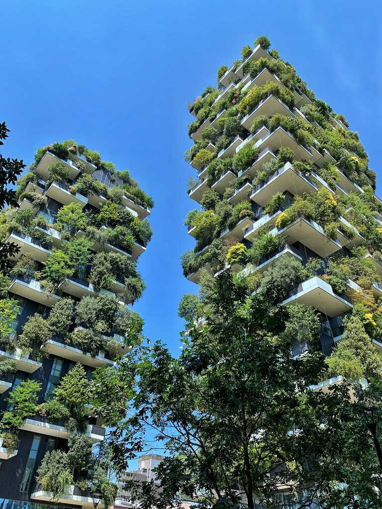 Vertical forest.  by cocobella