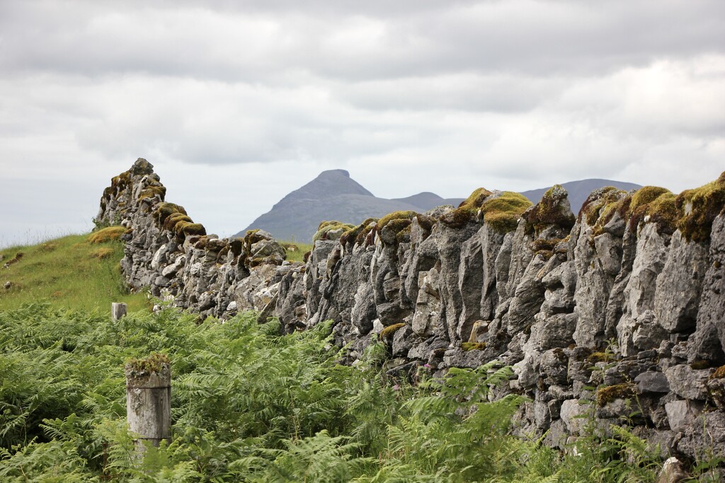 The Drystane Dyke and The Quinag by jamibann