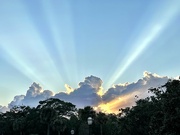 3rd Aug 2022 - Spectacular sun rays
