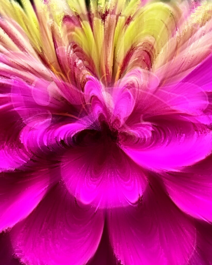 Pink Petals by njmom3