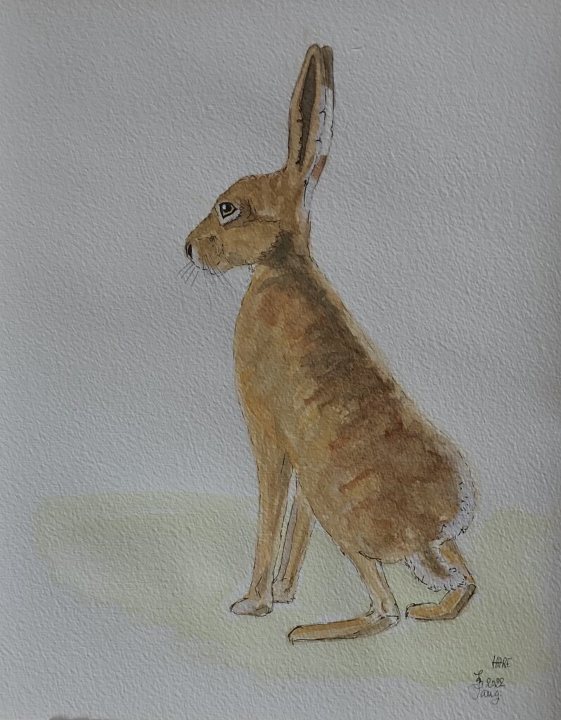 Shepherdman’s Wife’s Hare by jacqbb