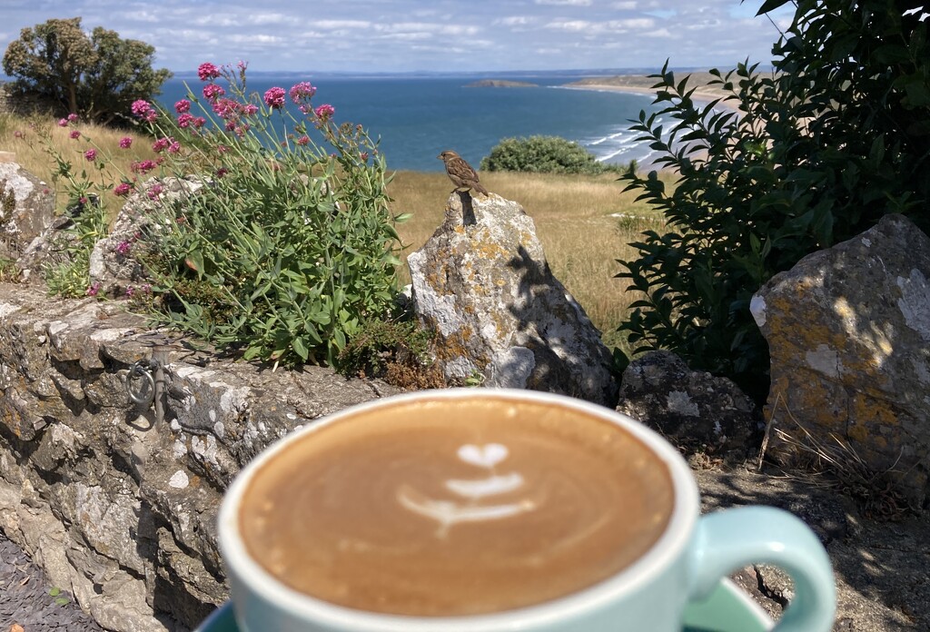 Coffee with a View  by elainepenney