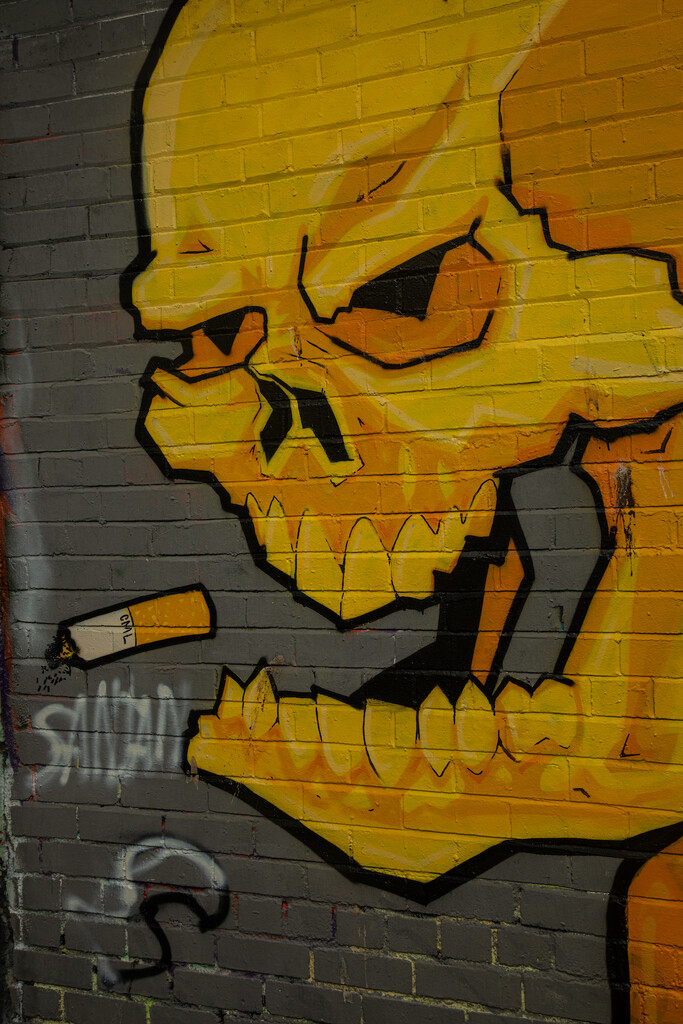 Smoking can damage your health! by billdavidson