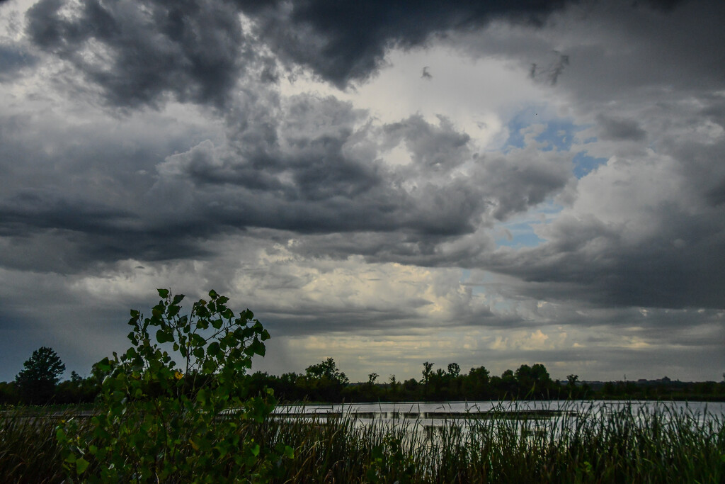 Baker Wetlands Skyscape by kareenking