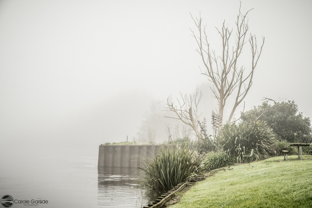 Fog on the River by yorkshirekiwi