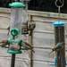 Busy at the Feeders Today by mumswaby