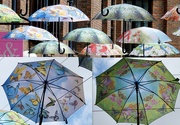 4th Aug 2022 - Summer Umbrellas