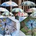 Summer Umbrellas