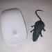 A Mouse and A Mouse