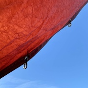 4th Aug 2022 - Shielding-sail-break against the sun 
