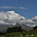sheep, hill, cloud