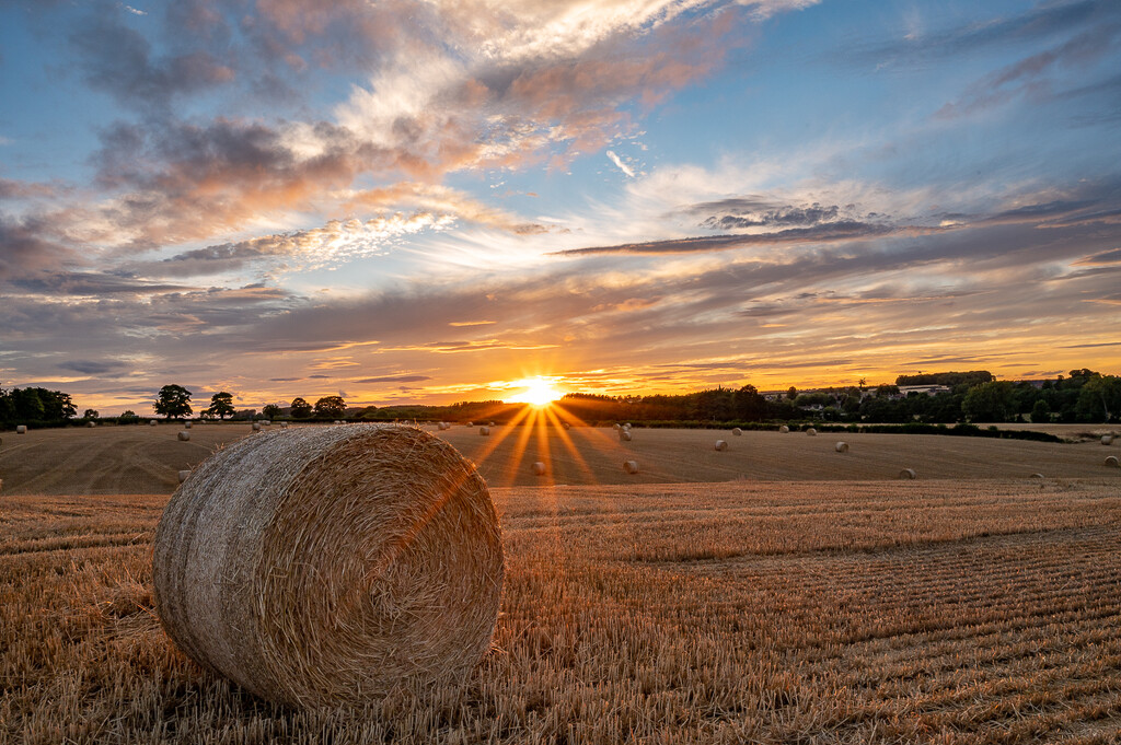Bales at Sunset  by rjb71