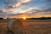 4th Aug 2022 - Bales at Sunset 