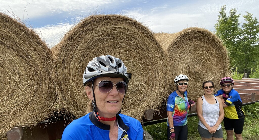 3 Bales  by radiogirl