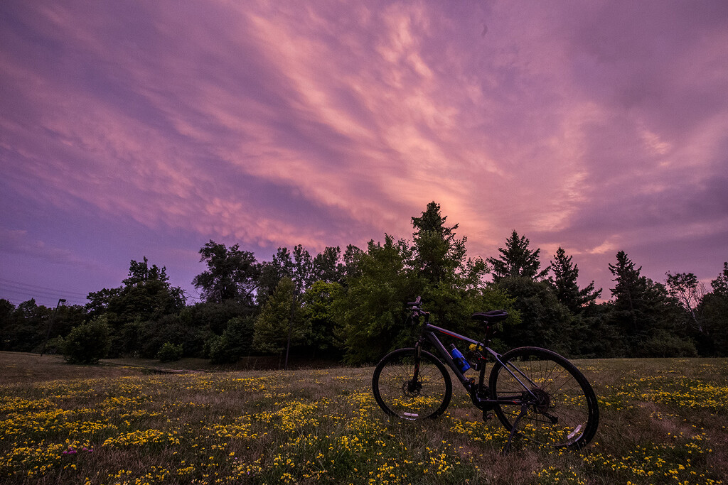 Bicycle Sunset by pdulis