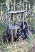 15th Jul 2019 - Massey-Ferguson