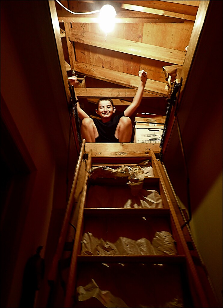 Sam Conquers the Attic Steps by olivetreeann