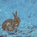 Bunny in a Blue Mood by gardencat