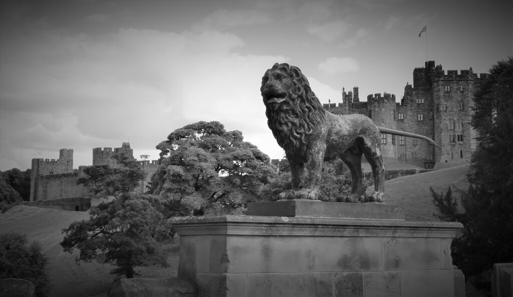 Percy Lion standing since 1773 and 11th century Alnwick Castle by anitaw