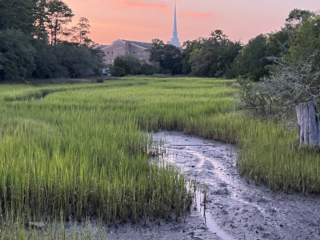 Marsh scene at sunset in back of my apartment by congaree