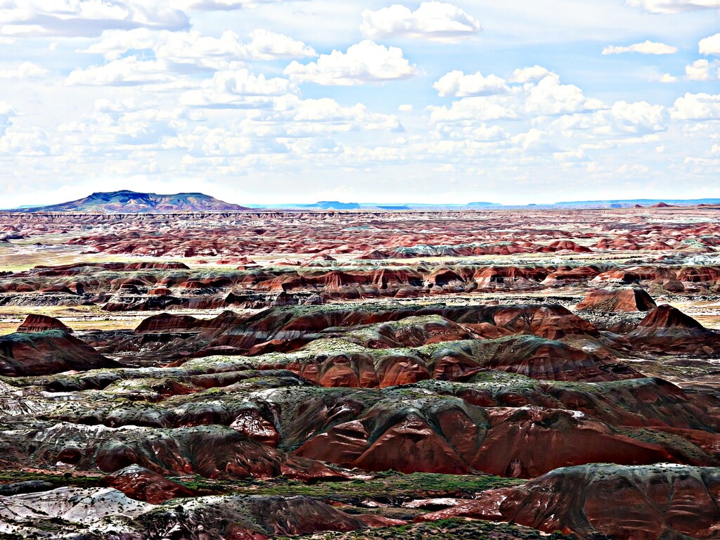 The Painted Desert by janeandcharlie