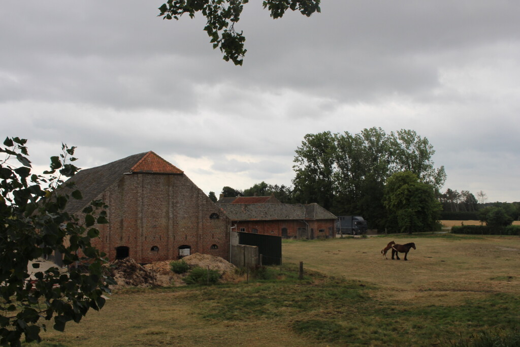 Old farm barns and horses.  by pyrrhula