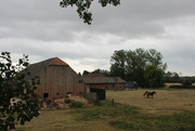 6th Aug 2022 - Old farm barns and horses. 