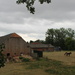 Old farm barns and horses.  by pyrrhula