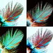 Arty Feathers