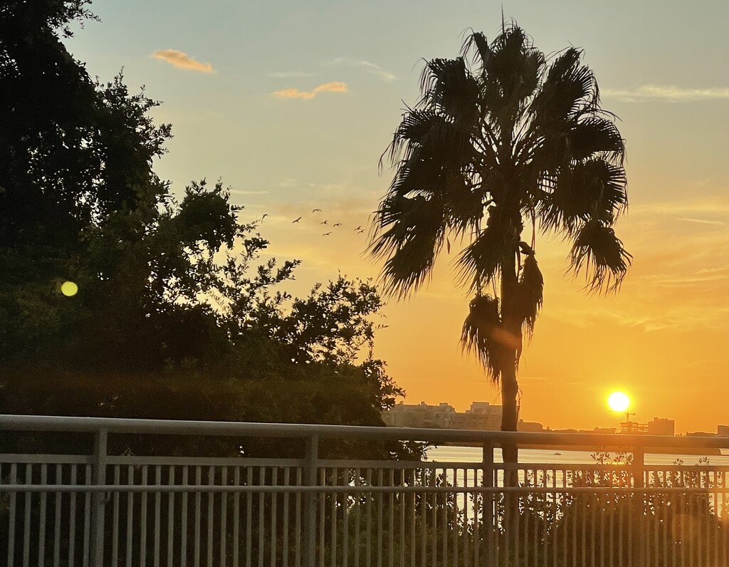 Florida sunset by kdrinkie