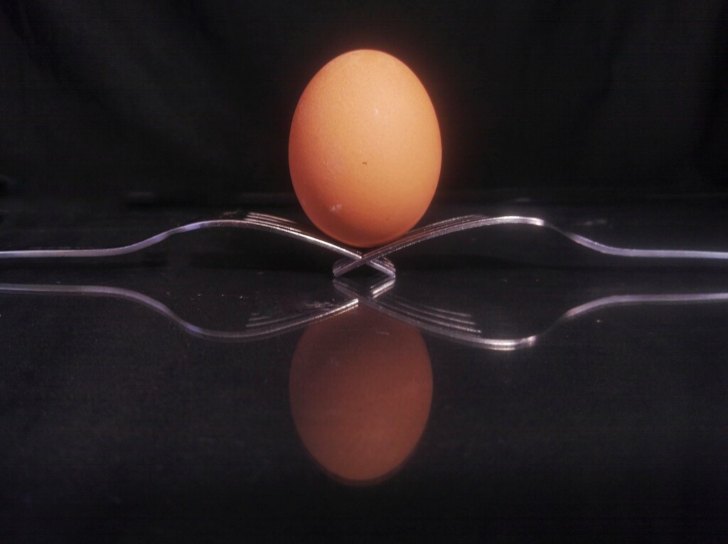 Eggcellent Balance by 30pics4jackiesdiamond