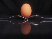 7th Aug 2022 - Eggcellent Balance