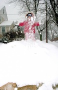 26th Jan 2011 - Snow Blower