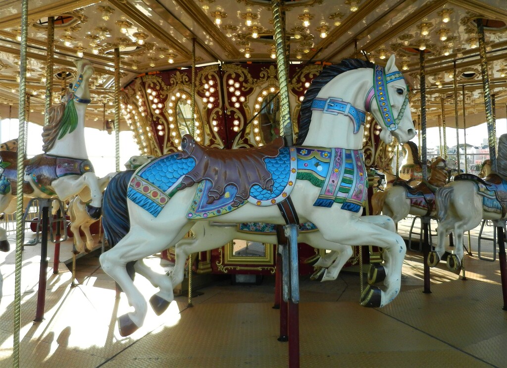 'Riding along on a Carousel' by jenbo