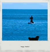 31st Jul 2022 - Doggy Paddle
