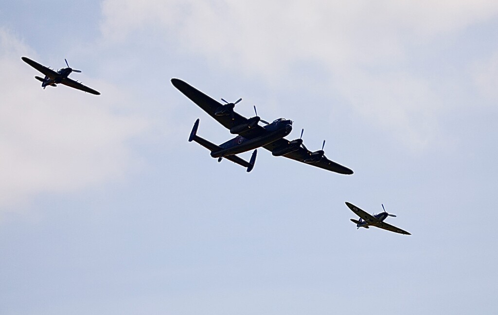 Classic Formation  by carole_sandford