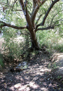 8th Aug 2022 - Dried up stream (aka Duloe brook)